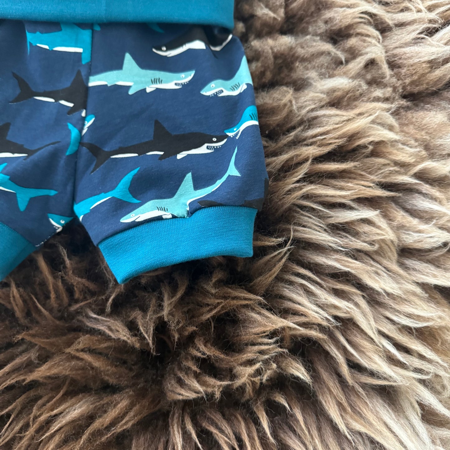 Shorts Shark