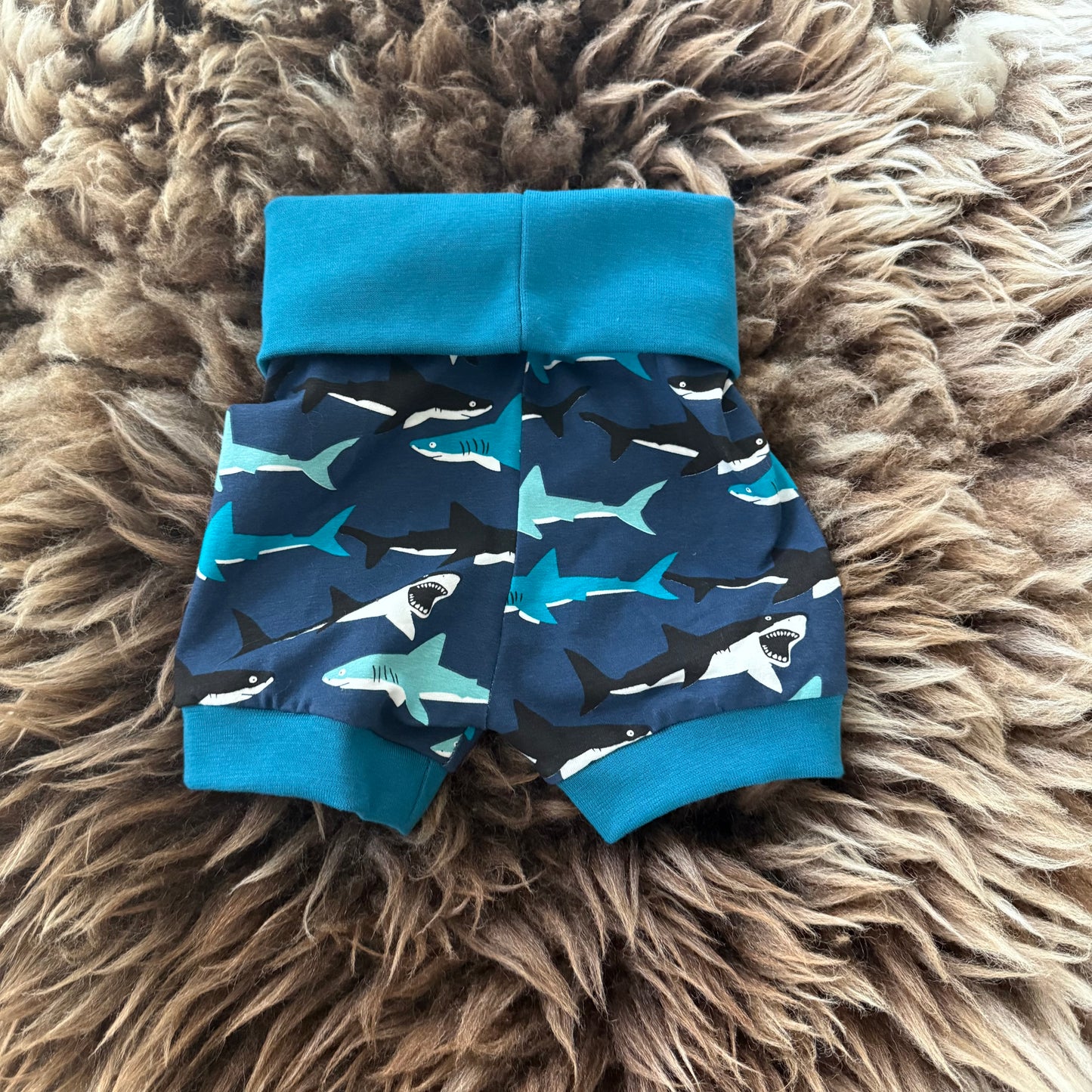 Shorts Shark