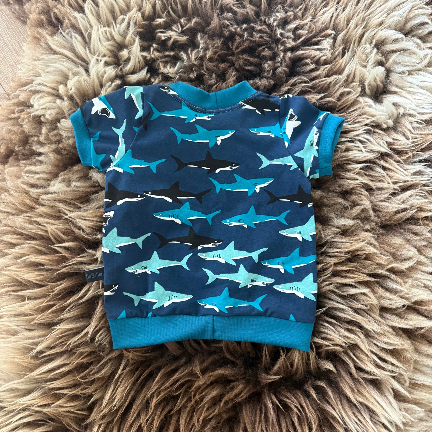 Shirt Shark