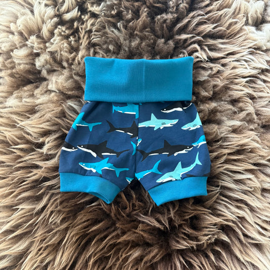 Shorts Shark