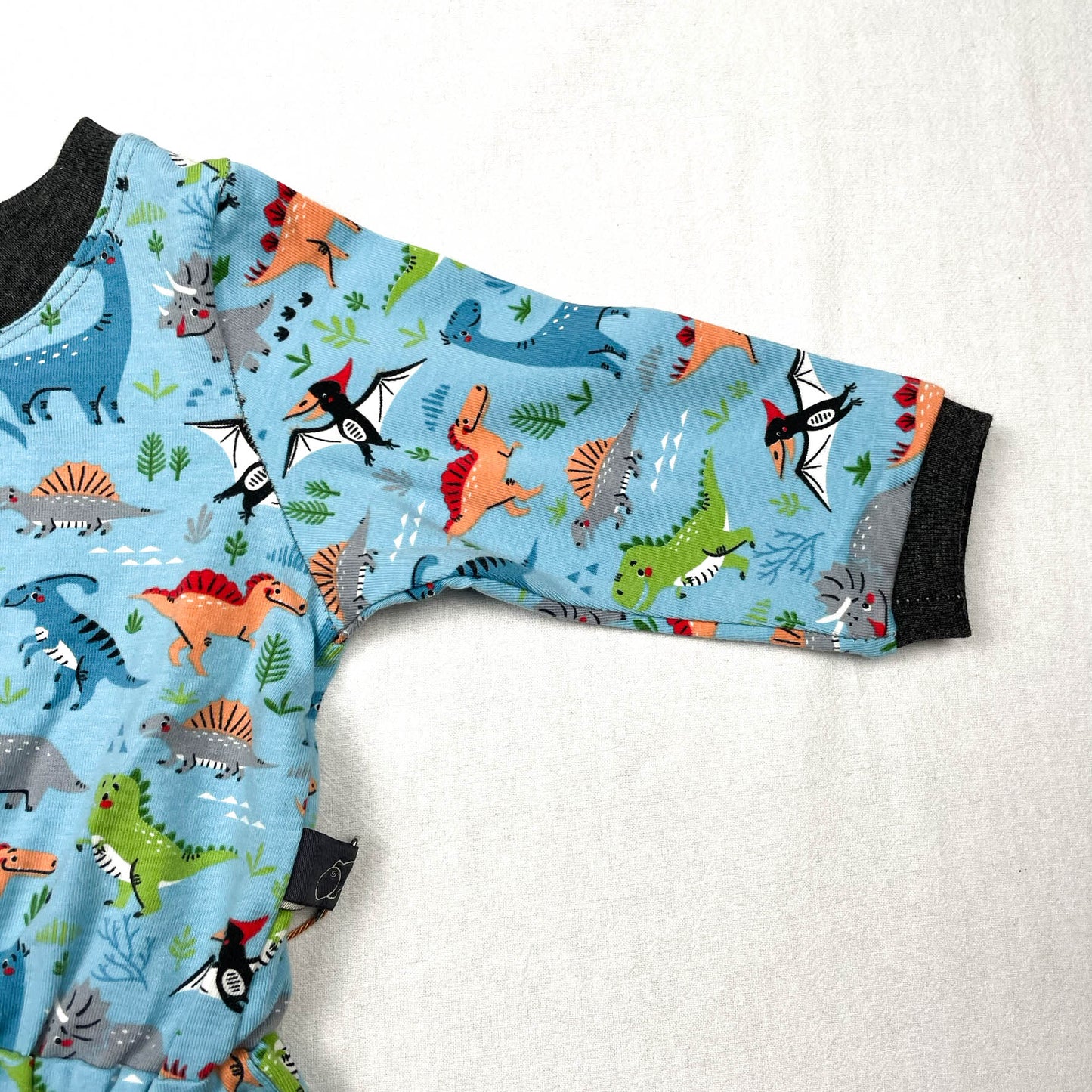 Retro Romper Dino