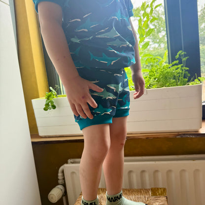 Shorts Shark