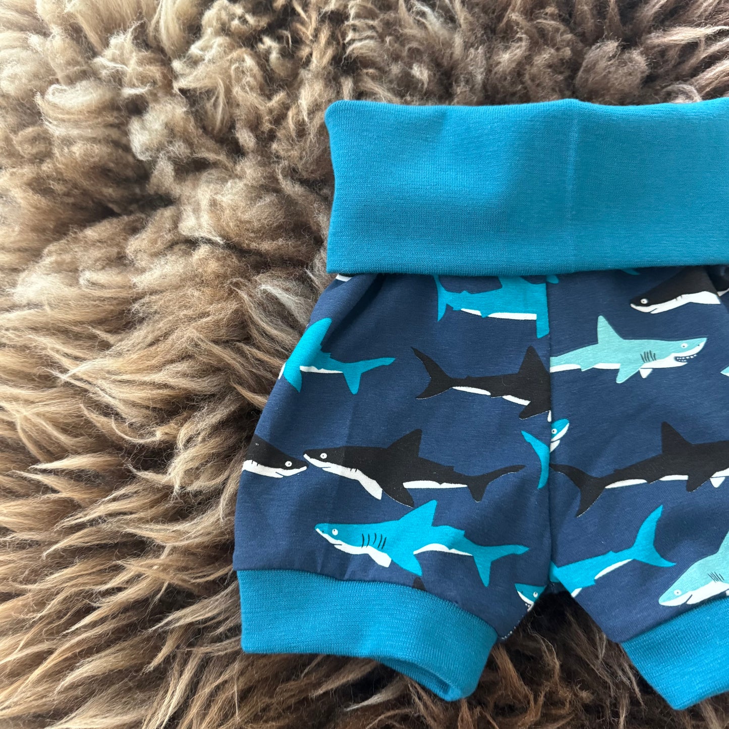 Shorts Shark