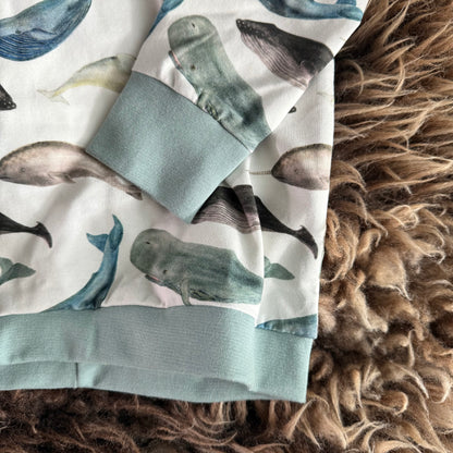 Longsleeve Narwal