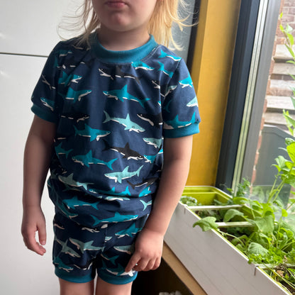 Shirt Shark