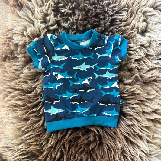 Shirt Shark
