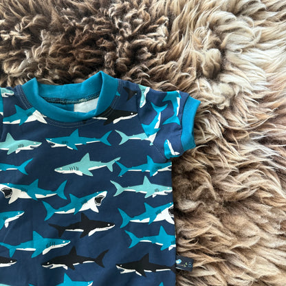 Shirt Shark