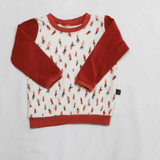 Tweedehands Longsleeve Garden 80-86